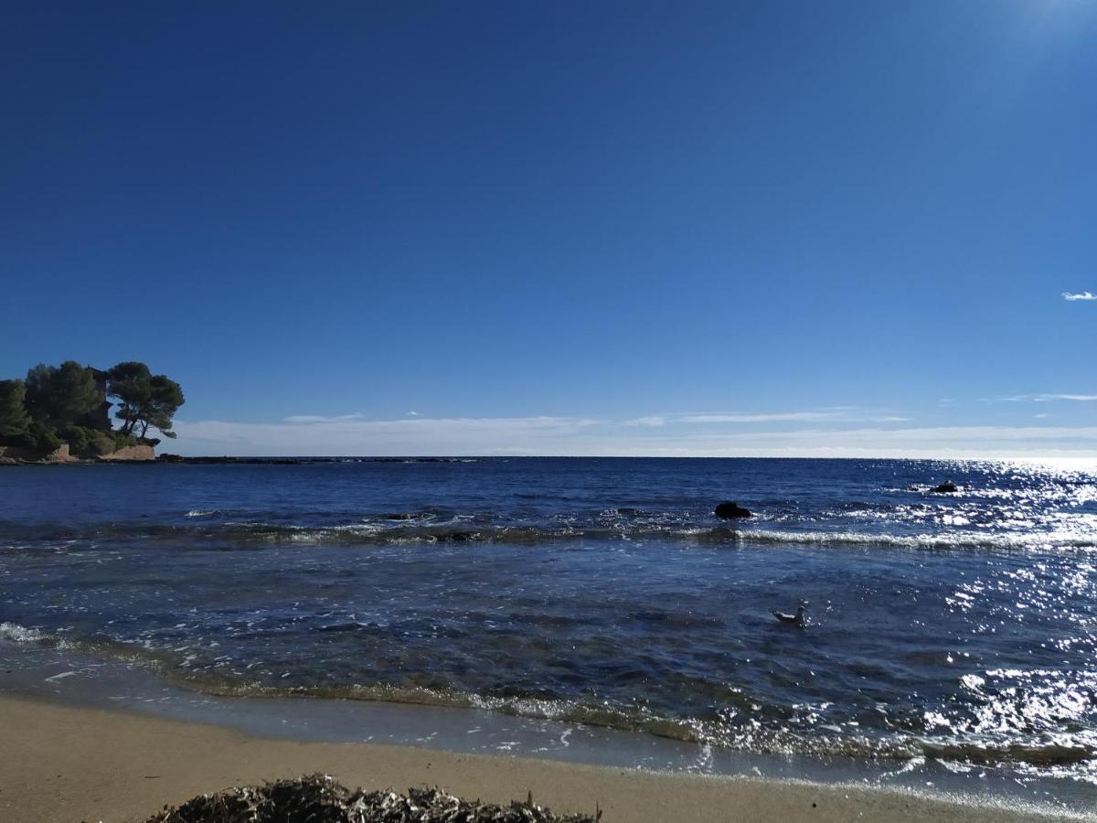 Studio Paradise entre mer et pins Saint-Raphaël Esterno foto